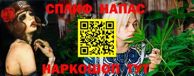 гидра Владикавказ