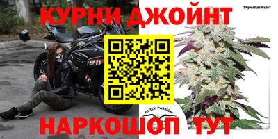 гидра Владикавказ