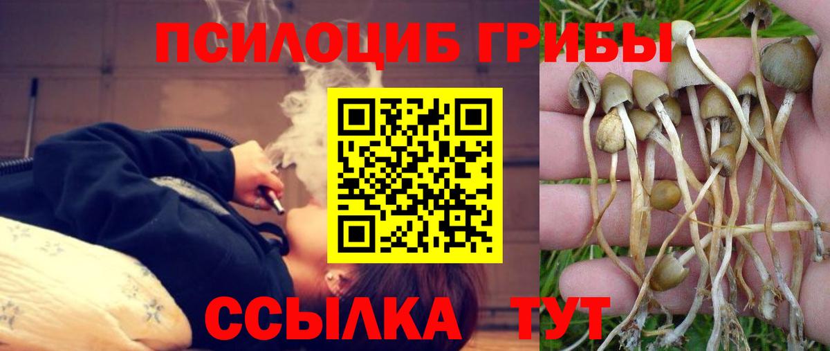Псков  Псилоцибиновые грибы MAGIC MUSHROOMS  Вход с VPN 